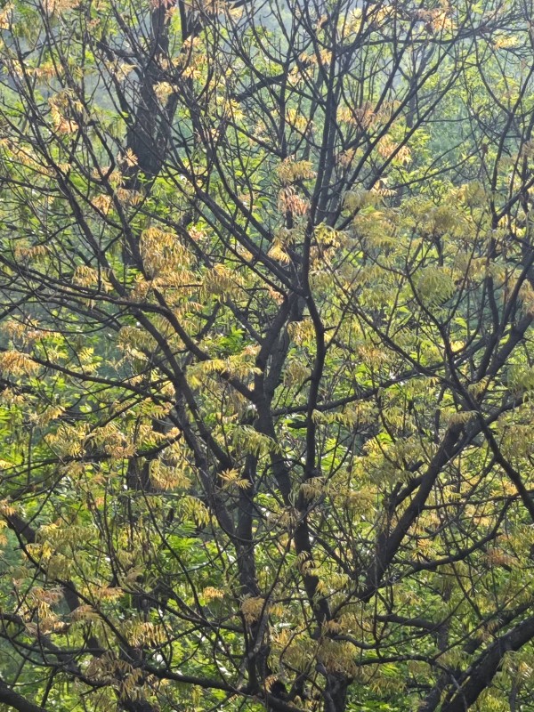 千古箴铭莫等闲