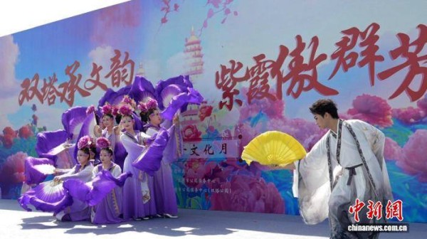 明代“紫霞仙”领衔太原双塔牡丹文化月活动