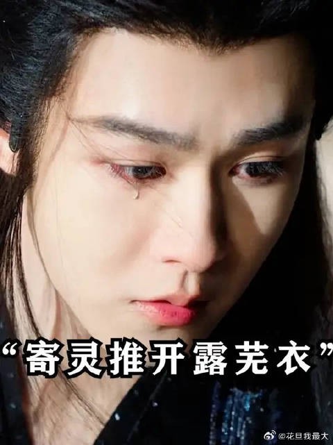 武拾光是龙的第十子，龙神推开露芜衣