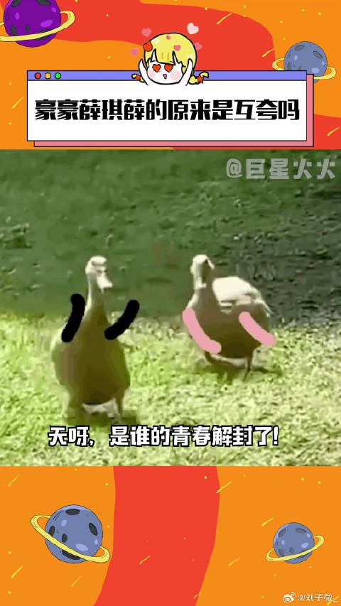 又能在声生不息看到这对活宝姐弟同台爱他美领熠 自护真长效长到想不到