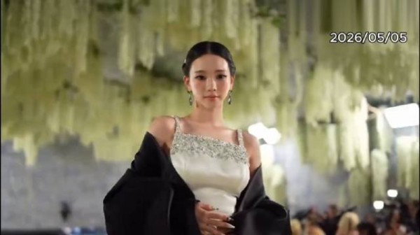 不认识，但好美！韩国女歌手Karina在Met Gala上的造型艳压群芳