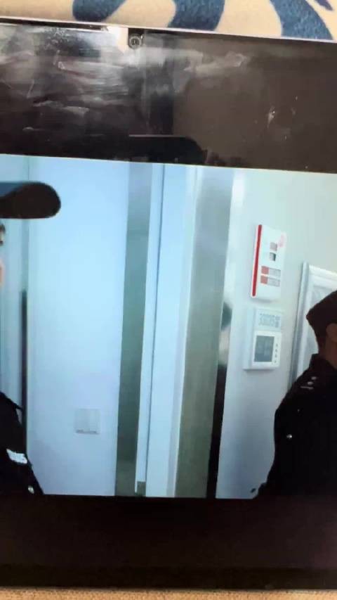 网剧《低智商犯罪》标题引热议，观众直呼绷不住