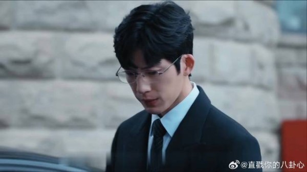 《钢铁森林》井柏然 蔡文静 闪婚丈夫是旧案专家，女警追凶反陷真相迷局