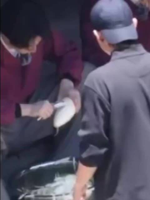 老刘削萝卜手法娴熟堪比老辈