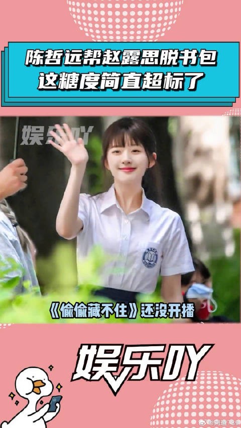 陈哲远 桑稚 微博VC计划