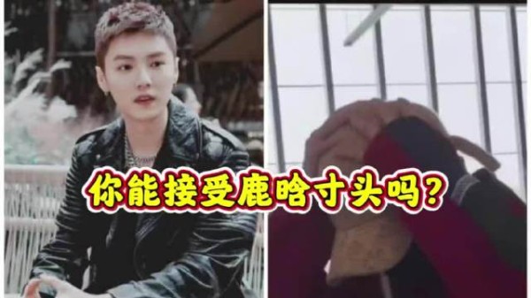 鹿晗是颜值自信还是为了五哈彻底放飞？鹿晗 五哈