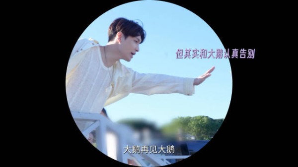 Boss@张艺兴 的戛纳mini vlog系列 当在海边遇到一只大鹅之后……故事开始了！