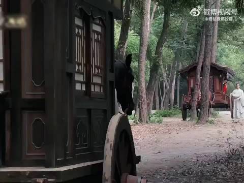 肤就爱磕这种副cp呢！ 良辰美锦 任敏 此沙 董思成 黄羿 王思懿 左叶