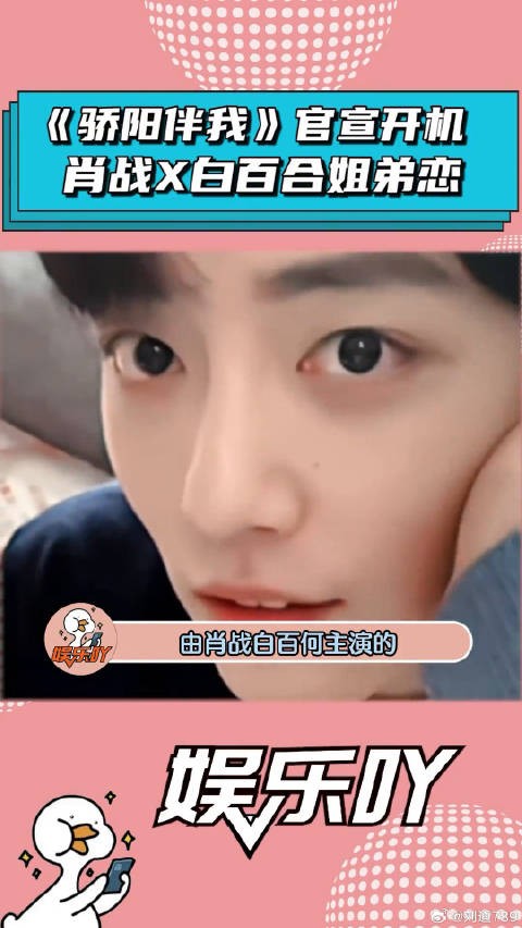 《骄阳伴我》官宣开机，你期待白百合 的姐弟恋吗？明星八卦