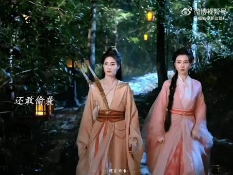 阿湄阿笙重逢后不再亲自下场打架