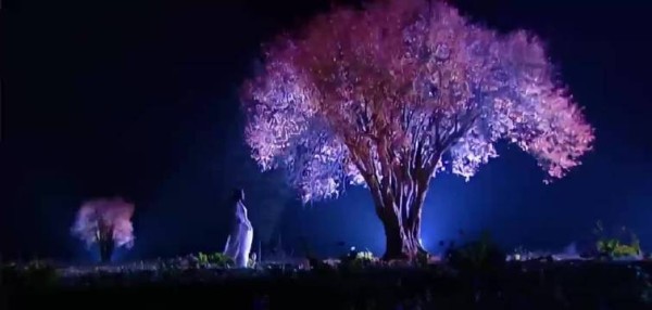 谁能想到，二十年前的剧打光绝了，能把夜景拍出这样的惊艳感