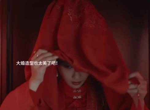 《家业》里到底要有多少杨紫的人生镜头