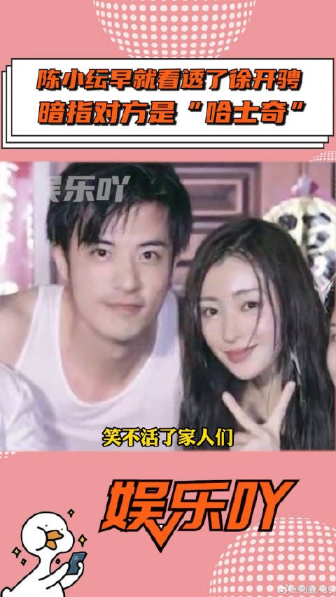 救命!原来陈小纭早就看透了张天爱 微博VC计划