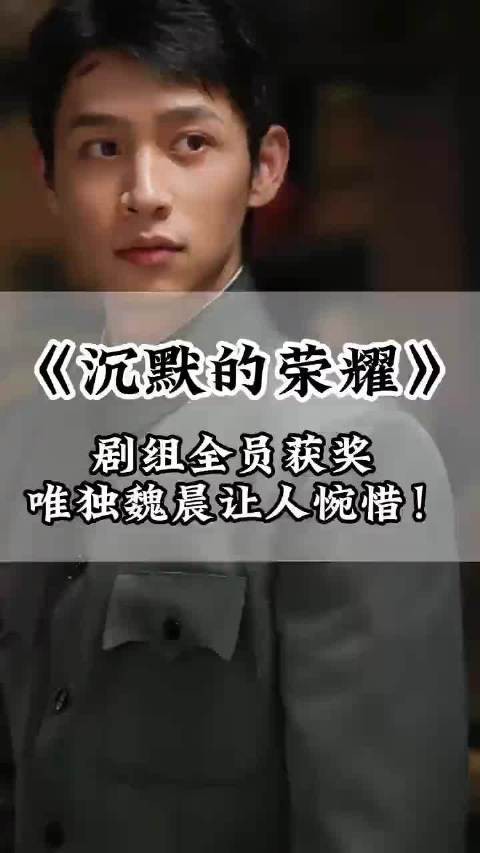 《沉默的荣耀》剧组全员获奖,魏晨未获奖
