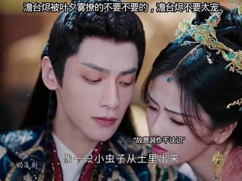 澹台烬被叶夕雾撩的不要不要的，澹台烬不要太宠