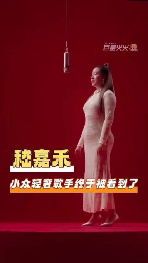 嵇嘉禾，实力闪耀！锤娜丽莎两个月发了10首歌