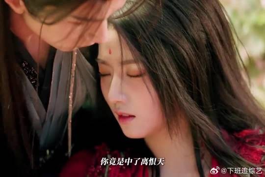 入青云每个人都有属于自己的醋要吃,全员cp大乱炖,我凭什么不争不抢!