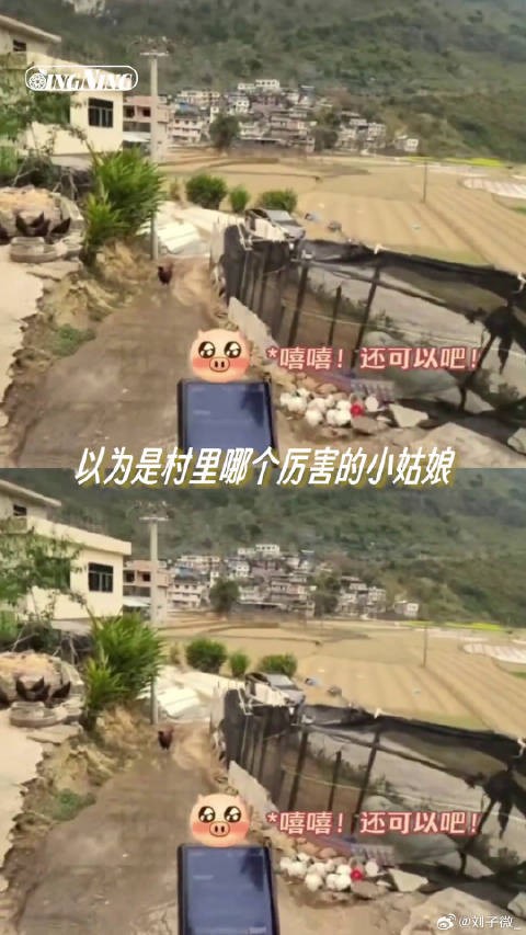 以为是村里哪个厉害的小姑娘，一看id 这不黄霄雲吗黄霄雲一嗓子把山喊醒了