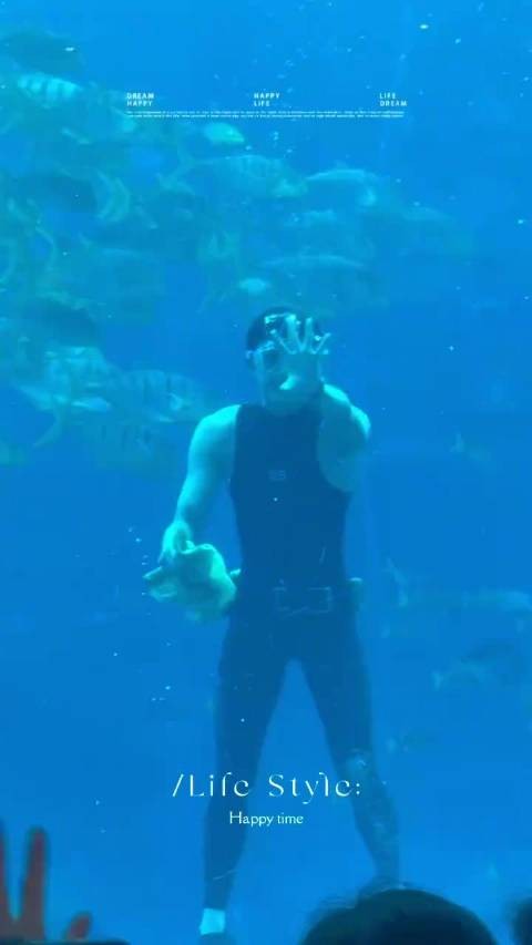 吴磊化身男美人鱼亮相水族馆,鱼群环绕氛围浪漫