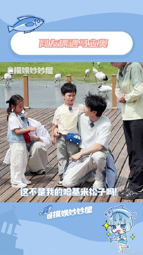 马立奥 马君妍马杨马立奥 微博VC计划微博VC计划
