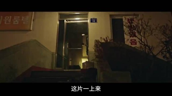 红高跟敲门索命，自杀树藏鱼缸诱人