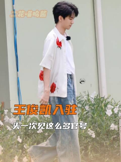 王俊凯正式加入,首次目睹如此众多的官方账号