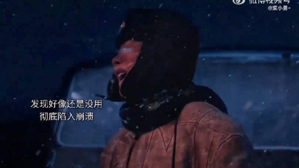 杨紫饰演白菊绝境呼救演技获赞