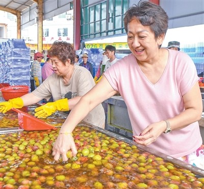 荔枝采摘后为何要泡水(有问有答)