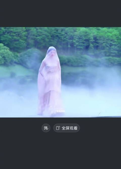 刘诗诗李兰迪合照引热议，头纱掀开瞬间弹幕刷屏