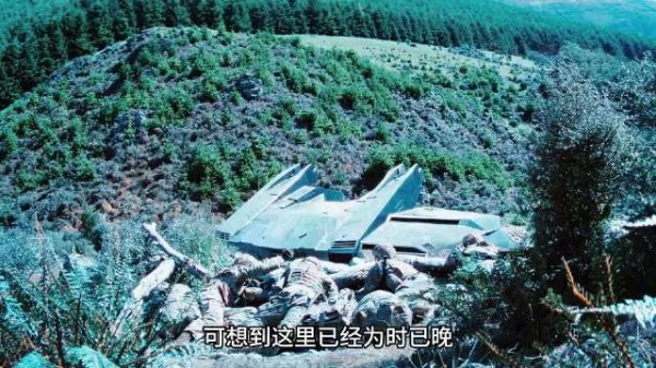 军事演习突遇外星访客，瞬间演变成实战