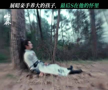 《雨霖铃》展昭痛失明柱儿，未及束发成终身憾