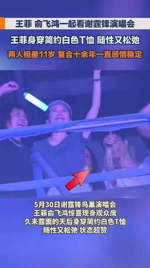 王菲俞飞鸿一起看谢霆锋演唱会
