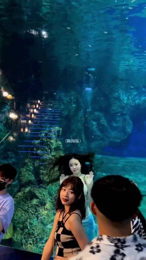 正在上班工作的“美人鱼” 憋气真的好厉害呀