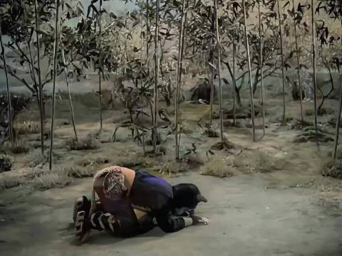 女人捡到一只猫居然是黑狼变的 老电影怀旧 精彩剧情