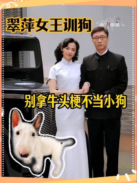 女王 小狗 万万没想到