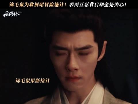 吵不散的友情！锦毛鼠冒险施针，只为换展昭平安醒来！
