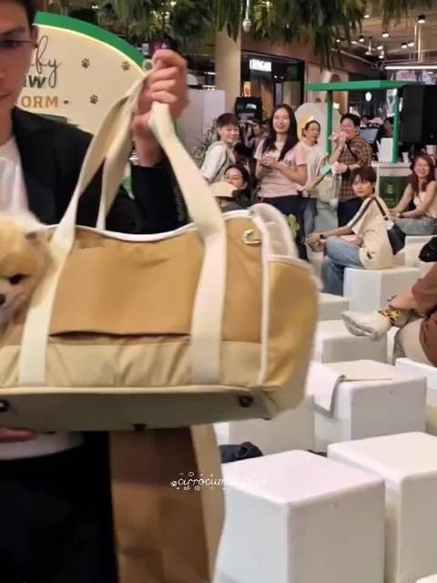出道即拥有众多粉丝