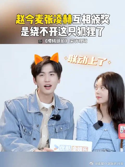 赵今麦张凌赫上部剧猫狐这次狐兔,绕不开这只狐狸了!