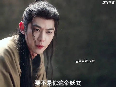 夏侯泊最后疯了，发现夏侯澹是北叔扮的，开始怀疑自己人