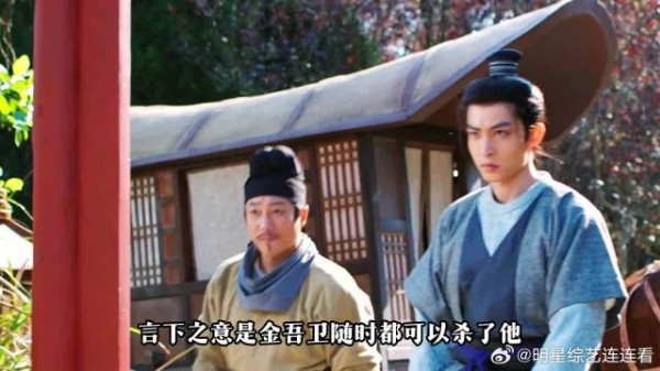 谢淮安开始反击言凤山,王朴到底是谁下的毒?