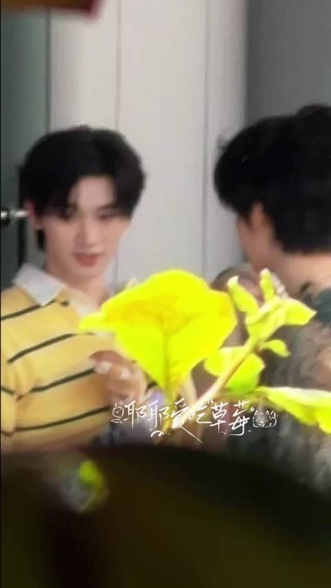 丁程鑫演出服未穿好引粉丝心疼