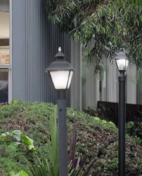 谷爱凌的外婆绝对是个人物，一把年纪还透露着一股狠劲