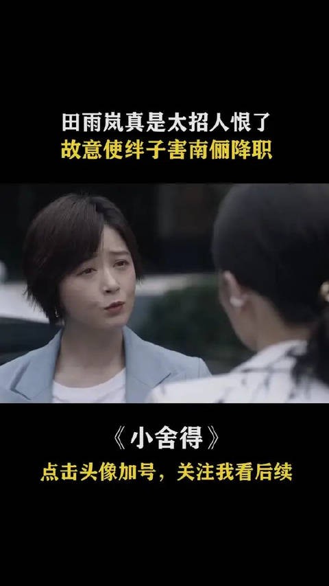 田雨岚真是太招人恨了，故意使绊子害南俪降职