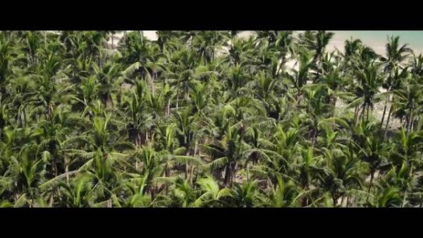 《南部档案》邪神黄昏草引危机,主角战力拉满闯关
