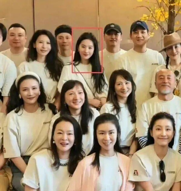 向太没说谎，两婚两离，比女儿刘亦菲还美的刘晓莉，证实她的评价