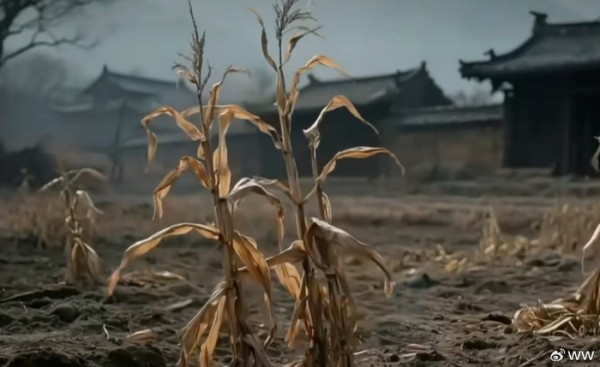 古代百姓真的能吃饱饭吗?历史真相下的底层百姓生活真相