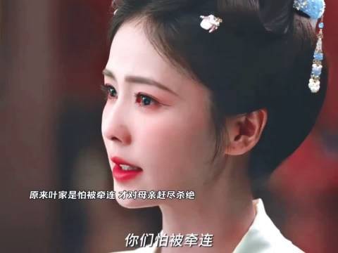 原来叶家是怕被牵连，才对母亲赶尽杀绝！从未在乎过她的死活！
