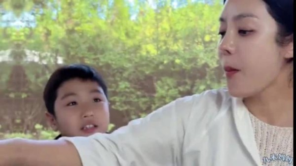 蔡琳坦言离婚因文化差异、育儿分歧