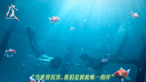 咱就是说炽夏你也太用心了吧，追剧团现场还挂了金鱼缸！