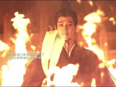 谢燕芳自焚身亡,楚朝局落幕
